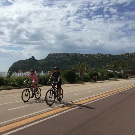 Le Domus Lovely Apartament *